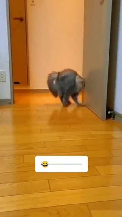 Twinkle Toes Crab Walker