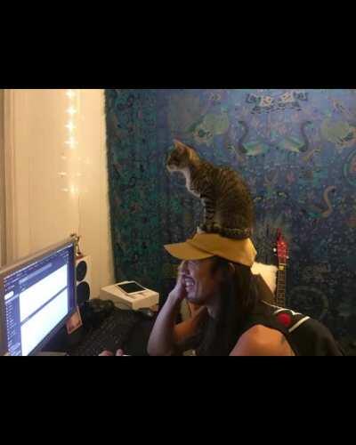 This is the best thing Ive seen in a while