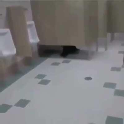 El bato que vio sin querer ⅛ segundos el stream de Ibai 😞🤟