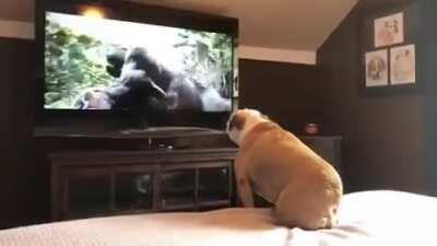 Nobody is there to protect her.. watching movie..