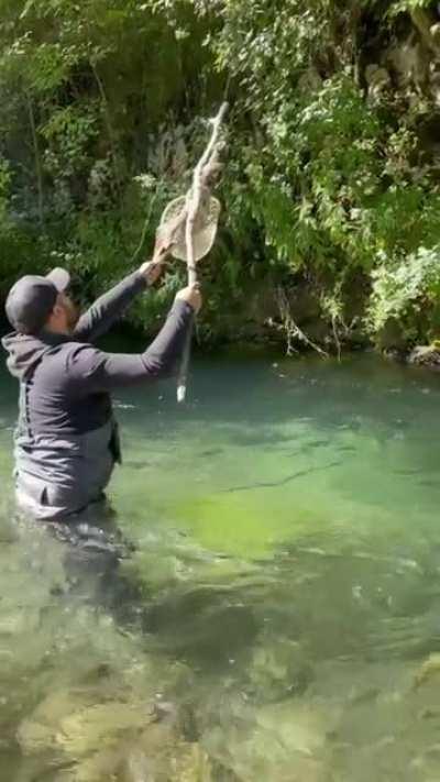 Terrified owl was so thankful to the guy who saved his life