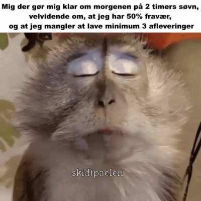 Hovsa😳 (godt at det ikke er mig)