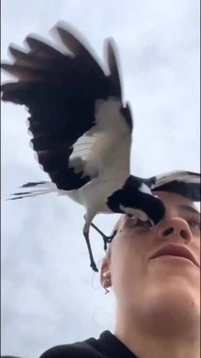 That's terrifying dammnn, poor girl.