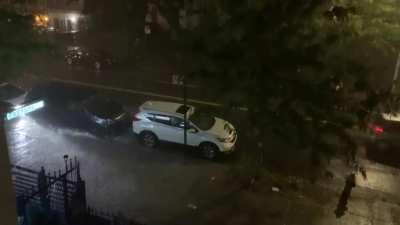 A tropical storm hits Brooklyn