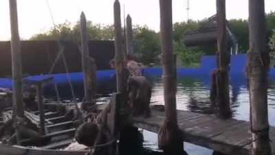 That one time when Alex (Uhtred) challenged Arnas (Sihtric) to do a scene rehearsal in Spanish without telling anyone - noting that Arnas does not speak Spanish! This is what happened... (Arnas shared this on his IG)