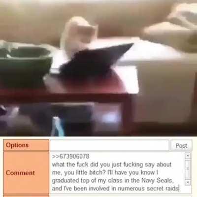 I bet the guy on the other side was too frightened to reply