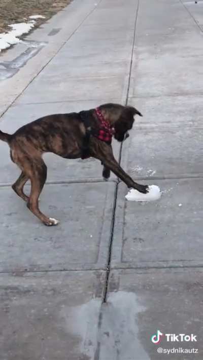 Snowboarding anyone?