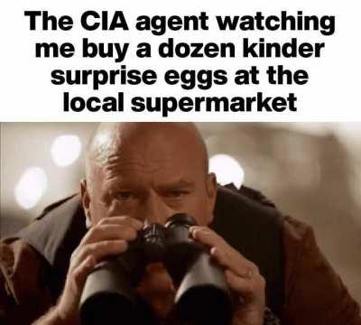 I control 100% of the kinder surprise egg market (the authorities are after me)