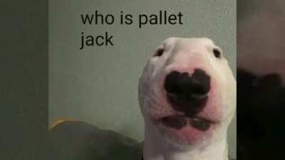 Phone made a video with pics from my gallery