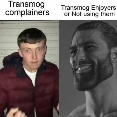 Y'all don't shut up about the transmogs