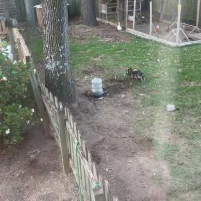 Spin around to charge up before unleashing SPEED