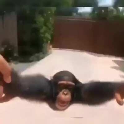 Lo más bonito que verás