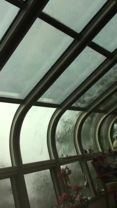 Perfect napping weather