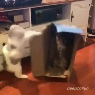 Hyper-intensity ENGAGE!