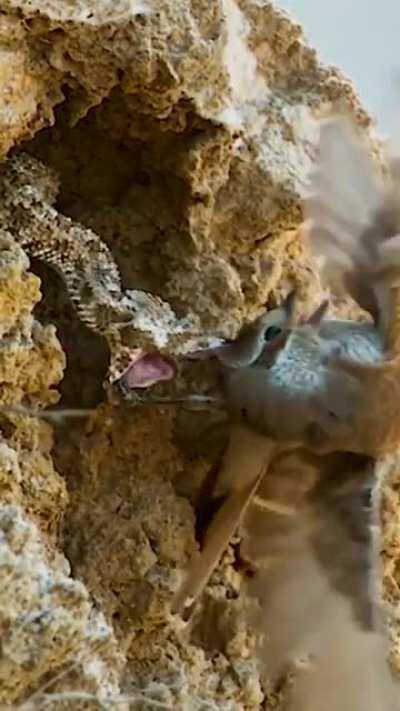 life's full of surprises...