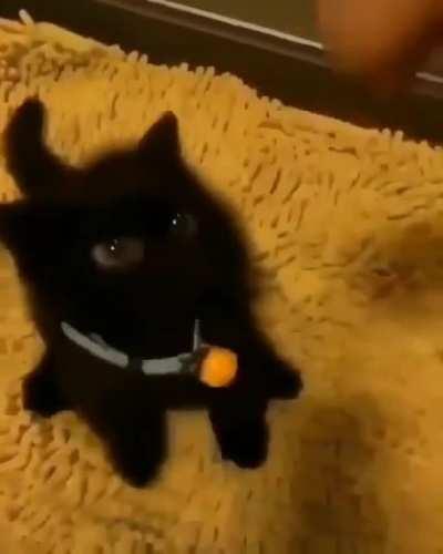 Criminal is resisting! (psa: keep sound off)