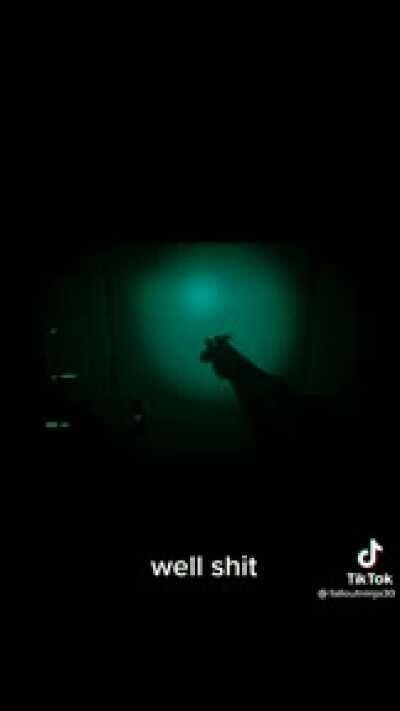 Smile for the camera!