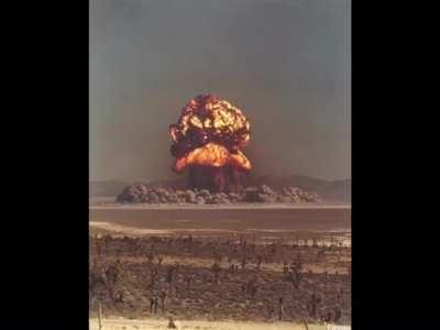 Damn Piggers are Getting Bigger