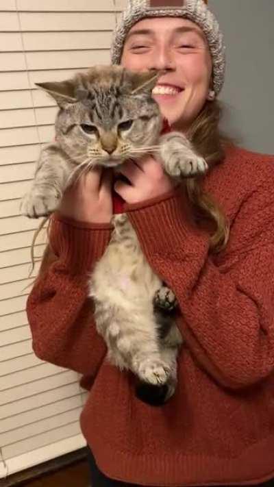 Put a Christmas sweater on my brothers cat. He didn’t know what to do