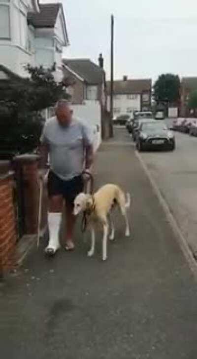 This bloke spent £300 on vets fees and X-rays and it turned out nothing was wrong with the dog, was just copying him out of sympathy