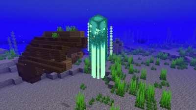 Just a normal glow squid there's nothing interesting here move along