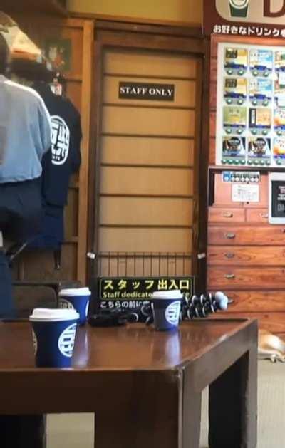 Valkyrae in Japan 🥵