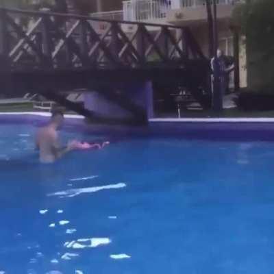 Flamingo: Nothing to see here