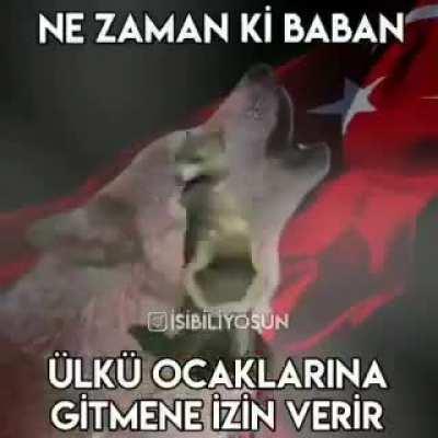 G&ouml;t&uuml;n kaşınmıştır