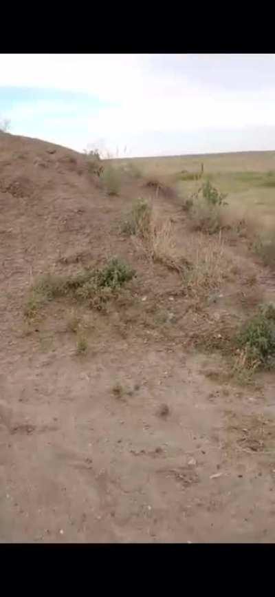 Not really a loud scream, but I did have this saved on my phone I guess