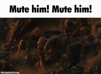 Mute him!!111