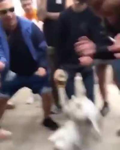 Wait for the star to arrive