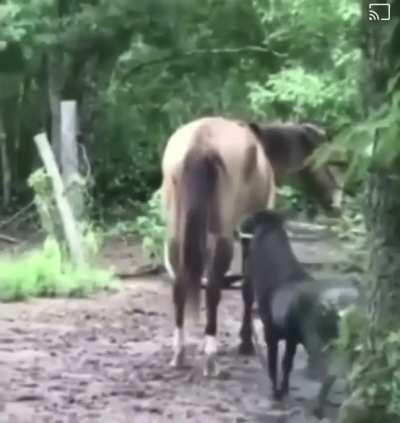 Consent is important