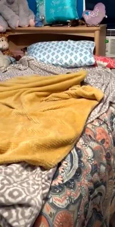 my puppie also saving life at this COVID by joining me in sleeping