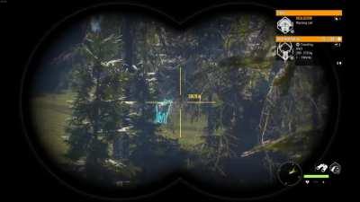 Coming in for landing!!!