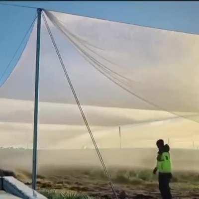 Watering crops with night condensation