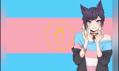 Shias seem to be serios