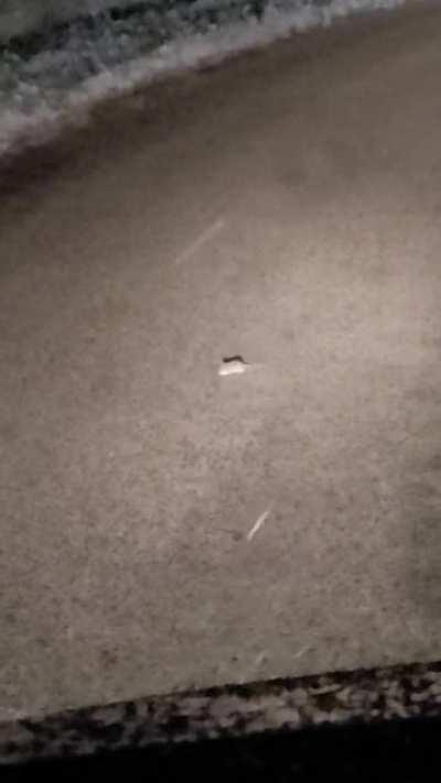 Country roads at night can get weird in Wisconsin.