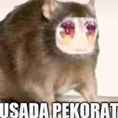 Usada pekorat