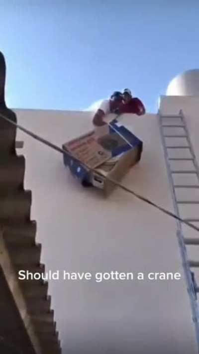 Stupidity 🤣🤣🤣