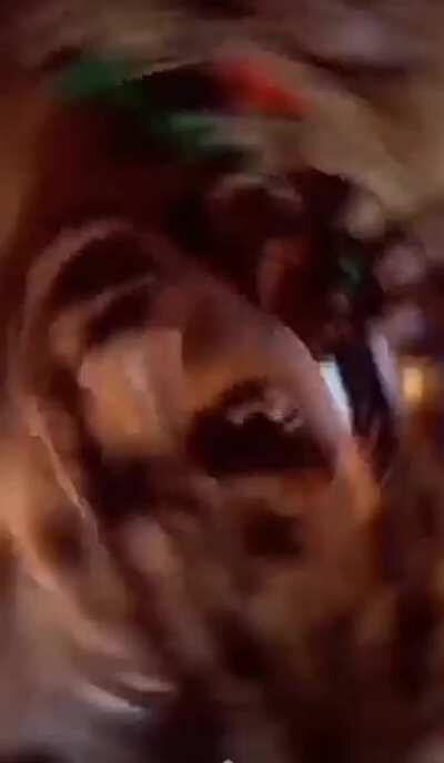 Anyone know what this is called I can't find it anywhere?