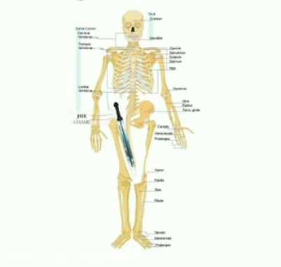 بچه ها رپ هلیا قمع کش رو پیدا کردم 🤣🤣🤣