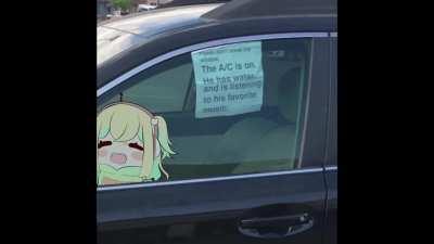 Saving this masterpiece before it gets deleted