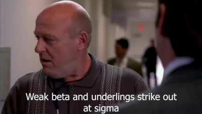 #SigmaSaul #Chimpanzillionaire Saul put BETAS in they place!1!