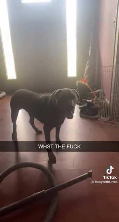 out of all the words