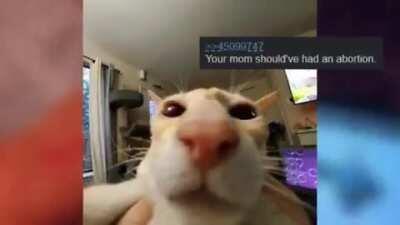 Showing grandma my shiny pokemon