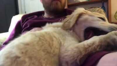 Babysitting my parents new pup!