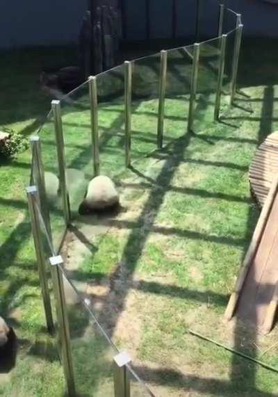 rolling rolling rolling