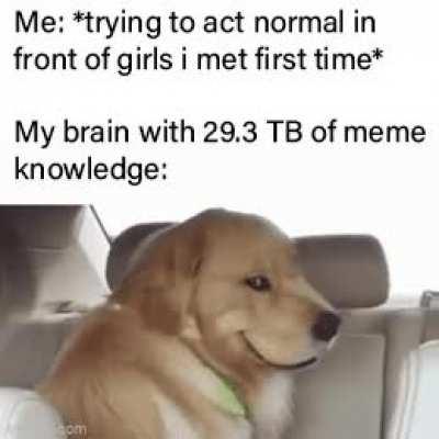 You guys like memes!