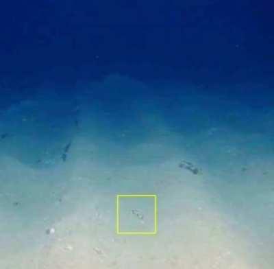 Guess what survived from the Titan