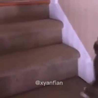 God damn anime girls